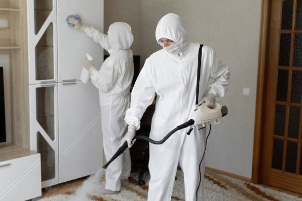 Certified Mold Removal in Port Neches, TX